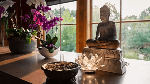 Best Spiritual and Wellness Getaways Near Delhi