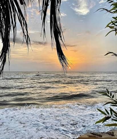 Goa in Monsoon: A Complete Travel Guide for an Unforgettable Rainy Season Stay
